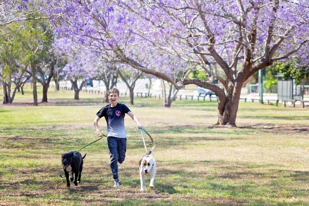 Boy playing outside with Jacaranda flowers - Australian Stock Image