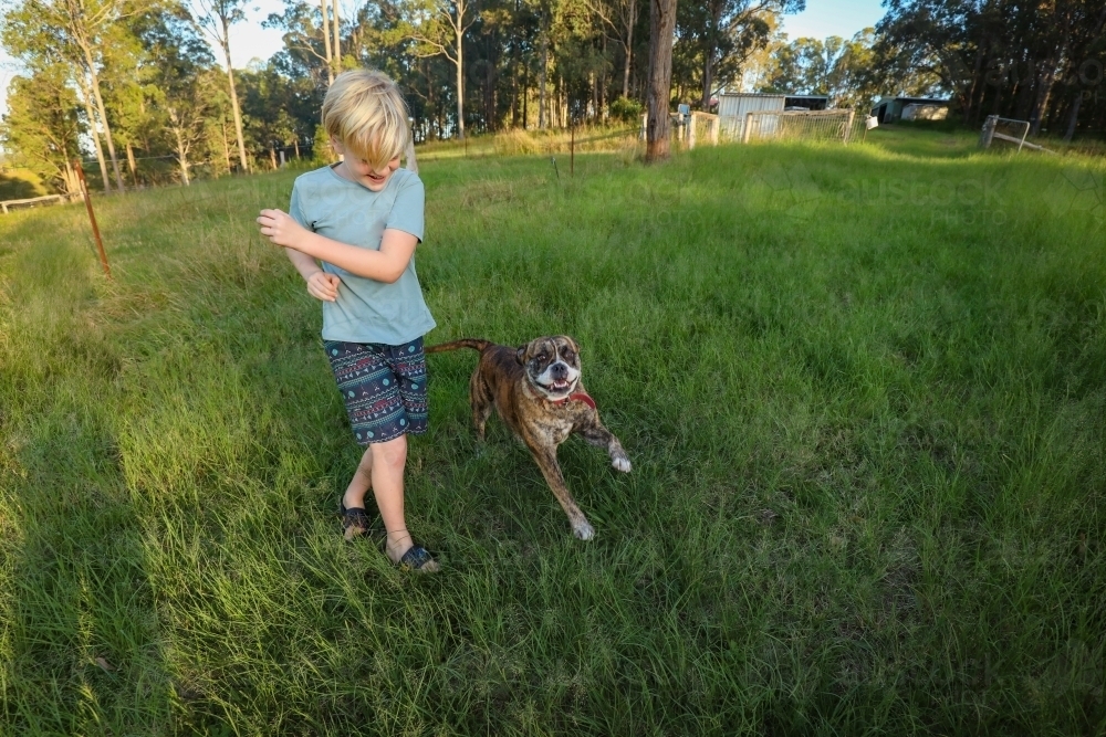 Boy playing with American Bulldog running and active in nature - Australian Stock Image