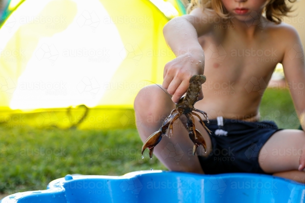 Boy playing with yabbies in backyard shell pool in summer - Australian Stock Image