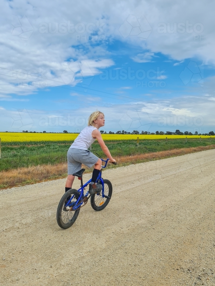 Boy riding bike down country lane beside canola field - Australian Stock Image