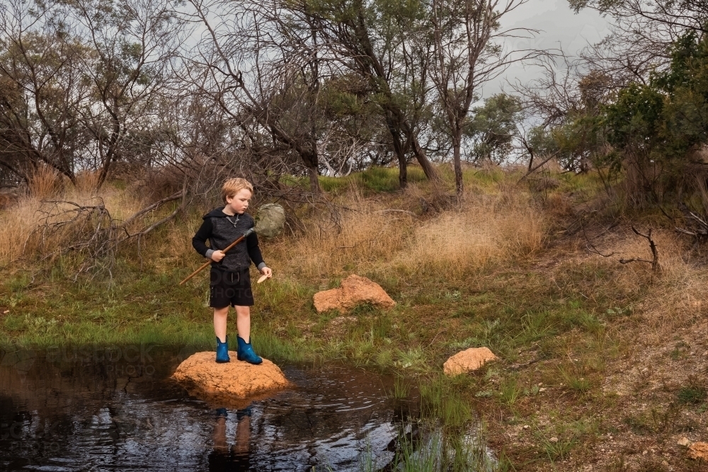 Boy standing on rock in water hole with net to catch tadpoles - Australian Stock Image
