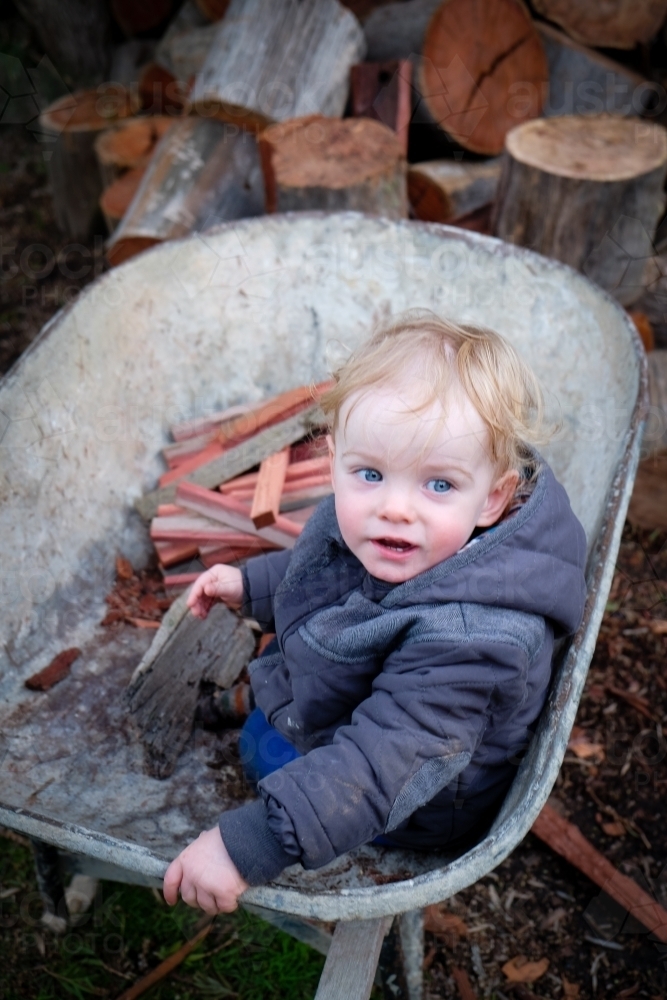 Boy toddler in rustic wheelbarrow collecting wood - Australian Stock Image