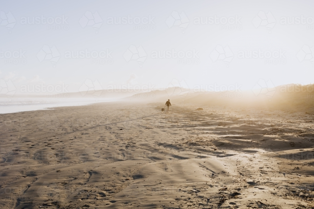 Boy walking dog along beach in golden light at sunset - Australian Stock Image
