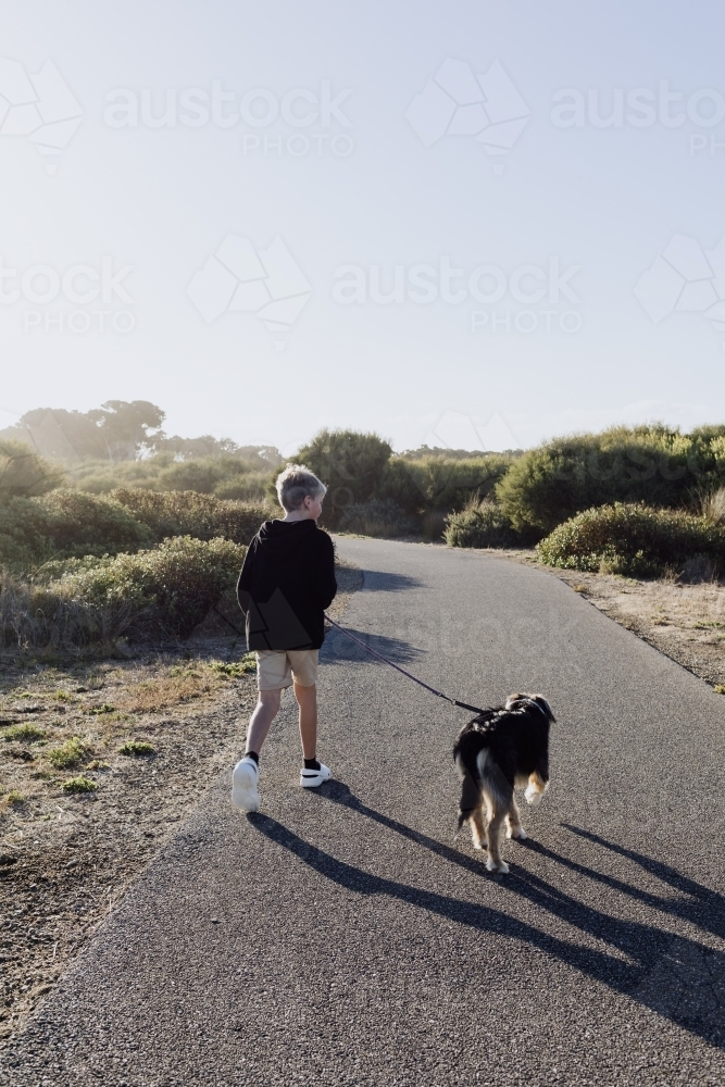 Boy walking dog along walking path at sunset - Australian Stock Image