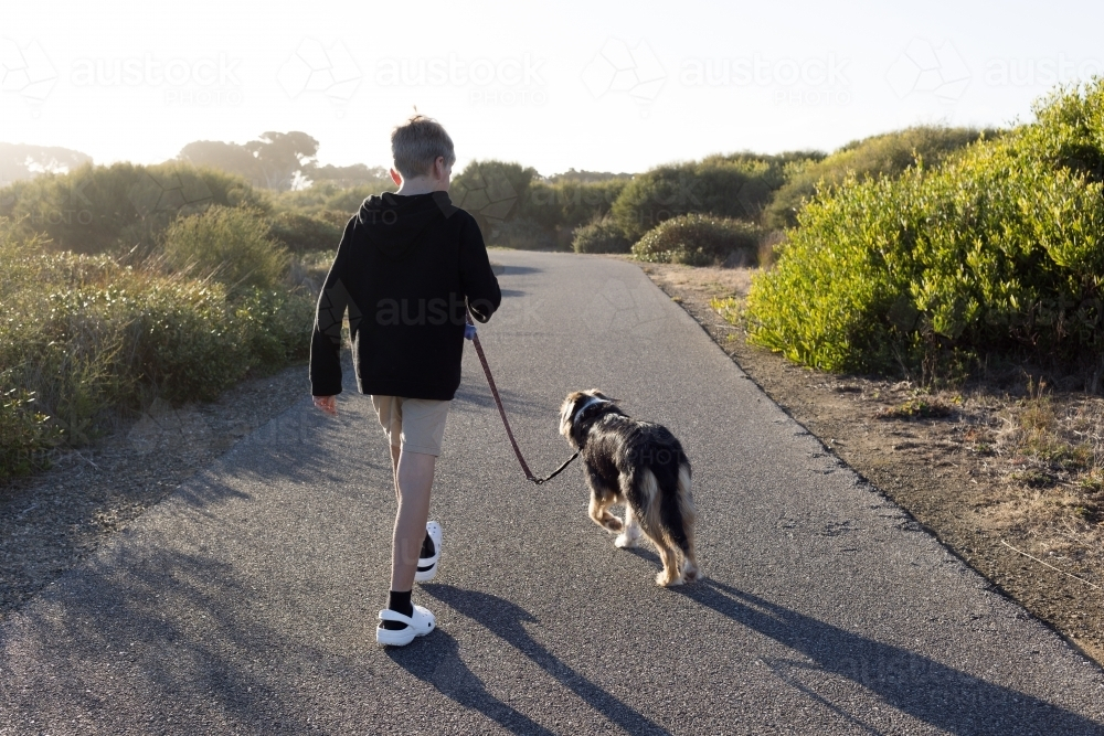 Boy walking dog along walking trail at sunset - Australian Stock Image