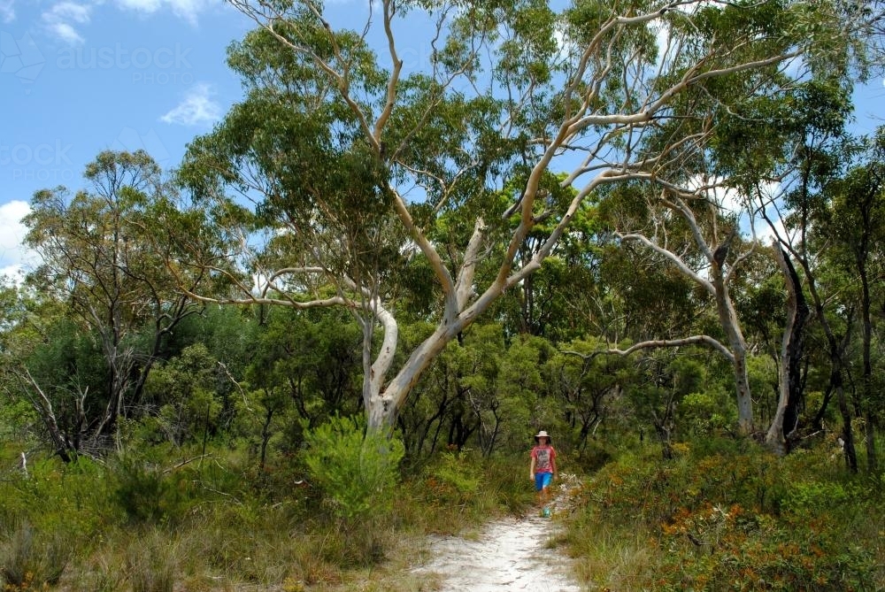 Boy walking in the bush - Australian Stock Image