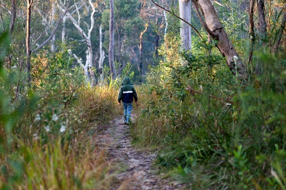 Boy walking on trail through the forest - Australian Stock Image