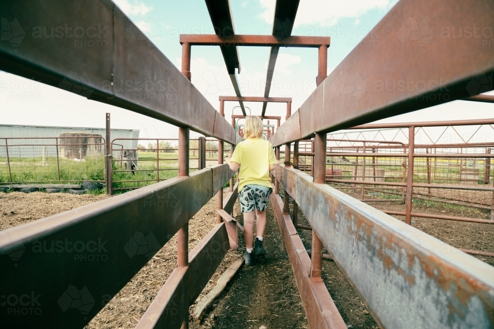 Boy walking through cattle yards on farm - Australian Stock Image