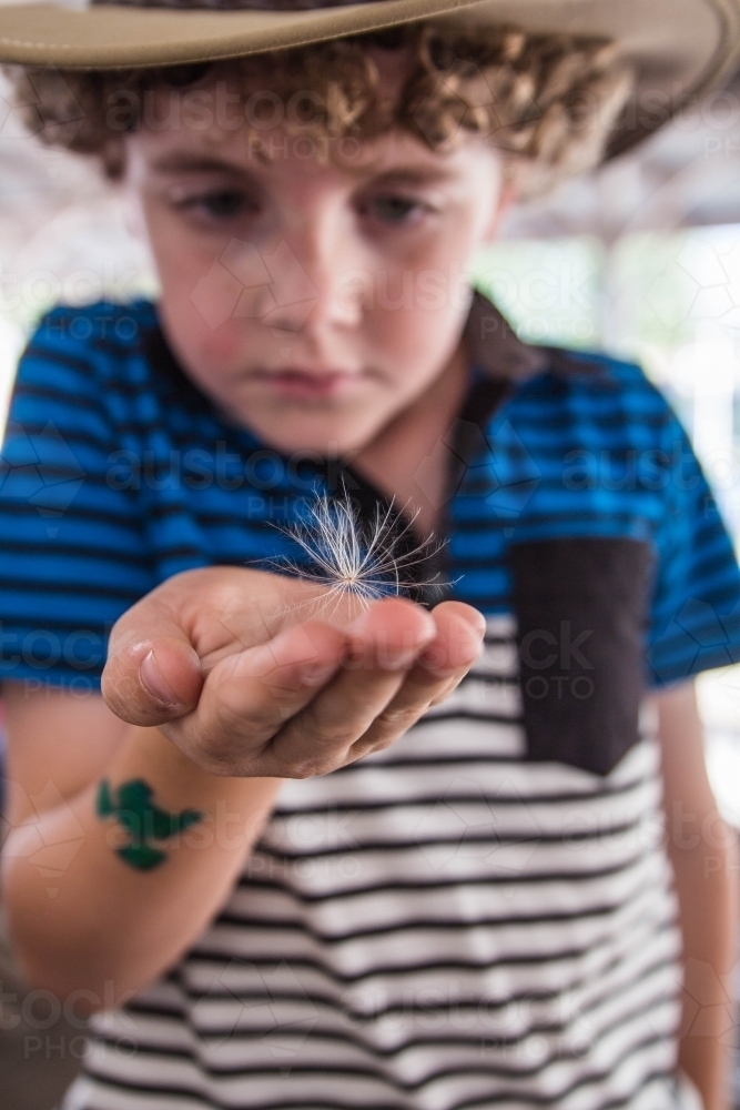 Boy wearing akubra hat looking at thistledown in hand - Australian Stock Image