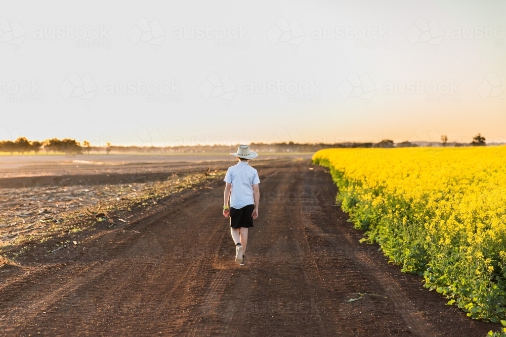 Boy wearing hat walking on dirt road next to canola paddock on farm - Australian Stock Image