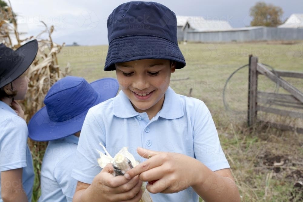 Boy wearing school uniform holding freshly picked corn - Australian Stock Image