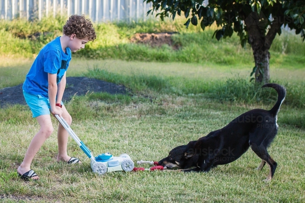 Boy with toy lawn mower playing with kelpie dog with toy sausages - Australian Stock Image