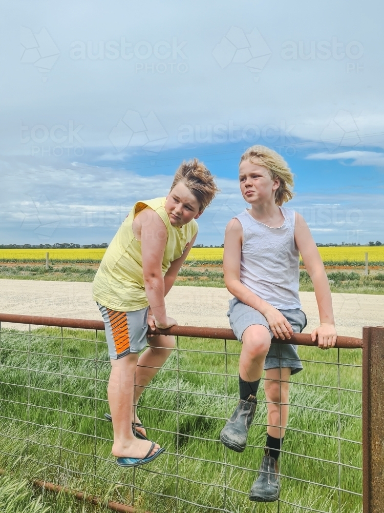 Boys climbing farm fence with canola field in background - Australian Stock Image