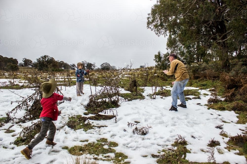 Boys throwing snow at their dad - Australian Stock Image