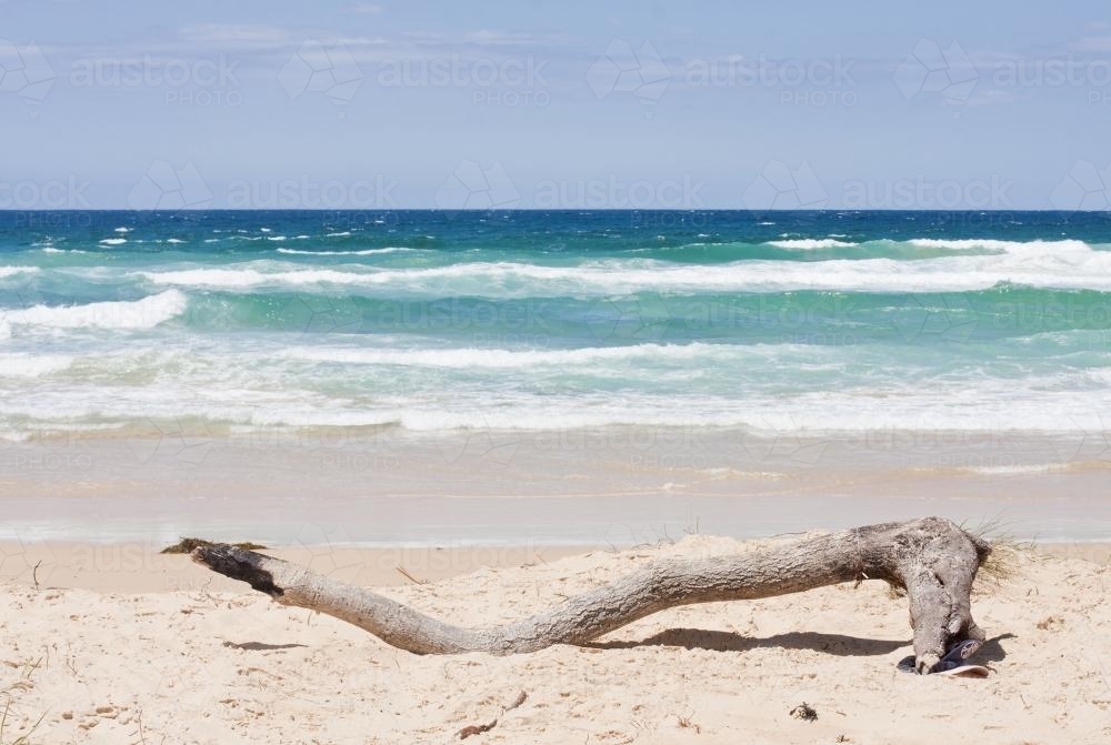 Branch on a beach - Australian Stock Image