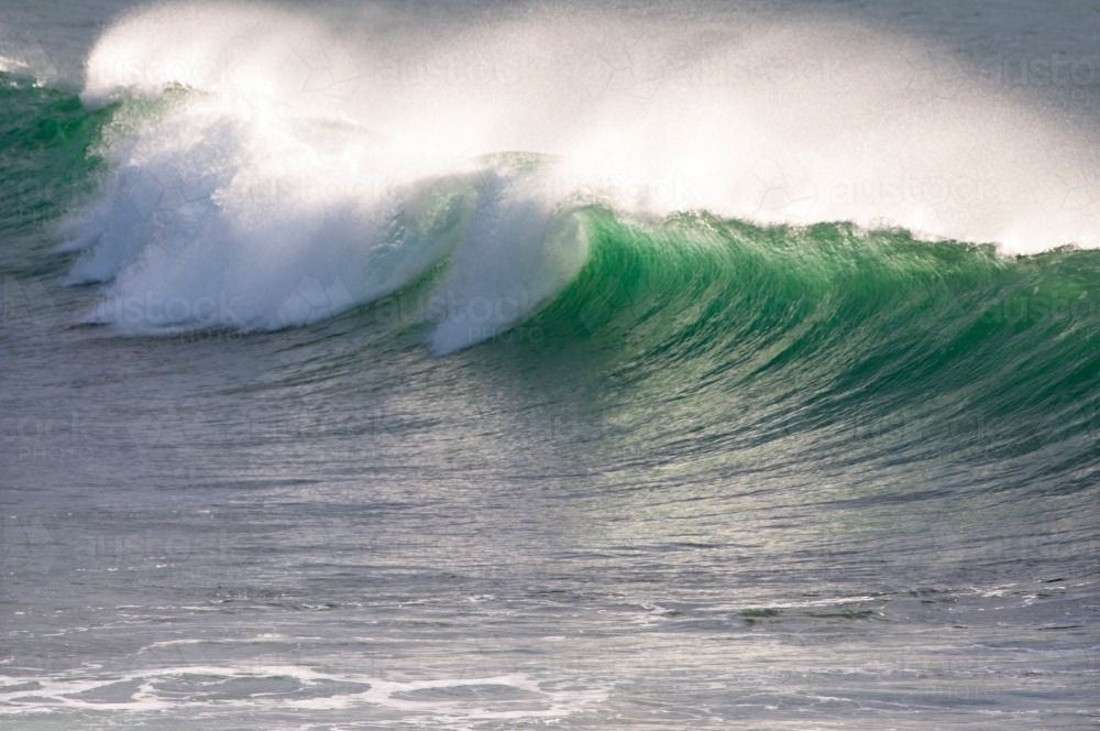 Breaking wave - Australian Stock Image