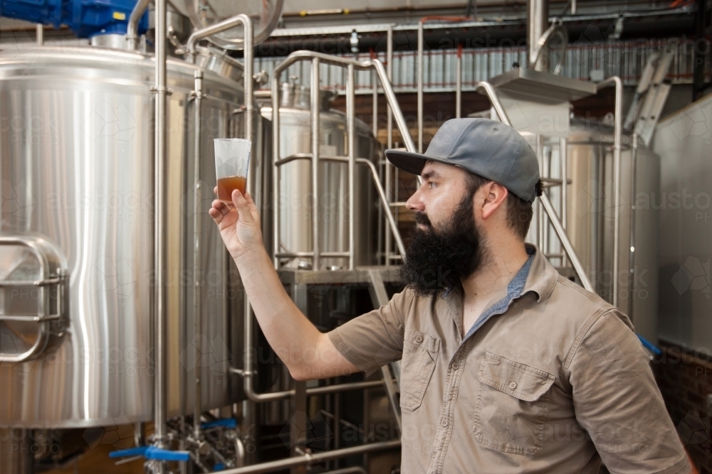 Brewer checking clarity of mash at a microbrewery - Australian Stock Image