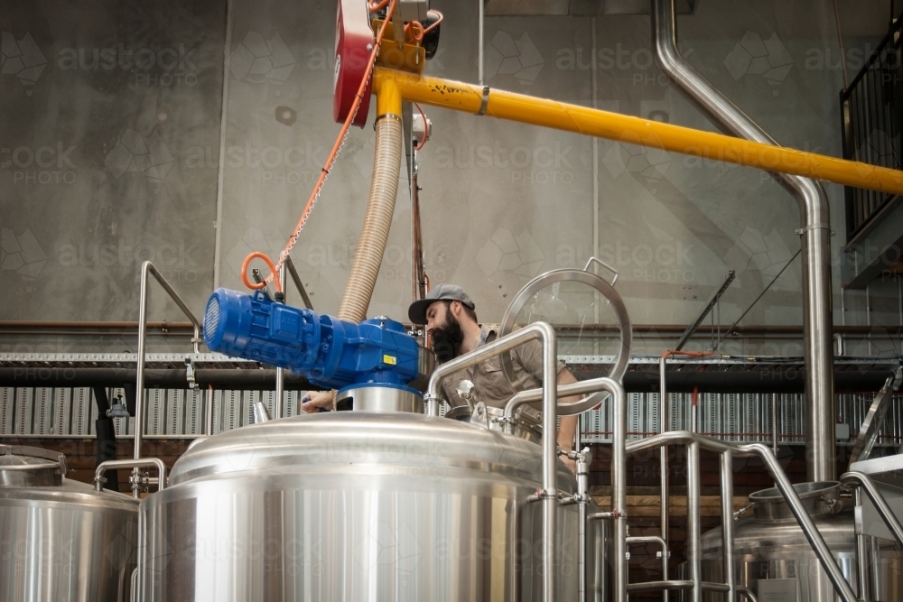 Brewer checking mashing process at a microbrewery - Australian Stock Image