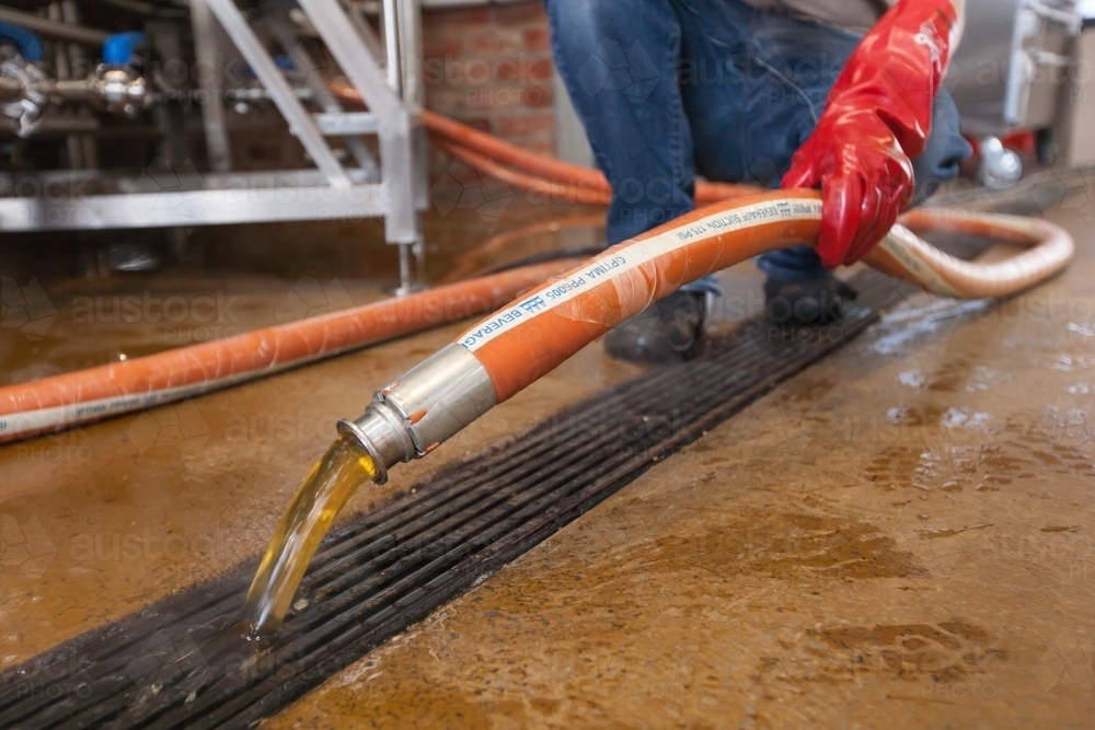Brewer pouring waste water into drain - Australian Stock Image