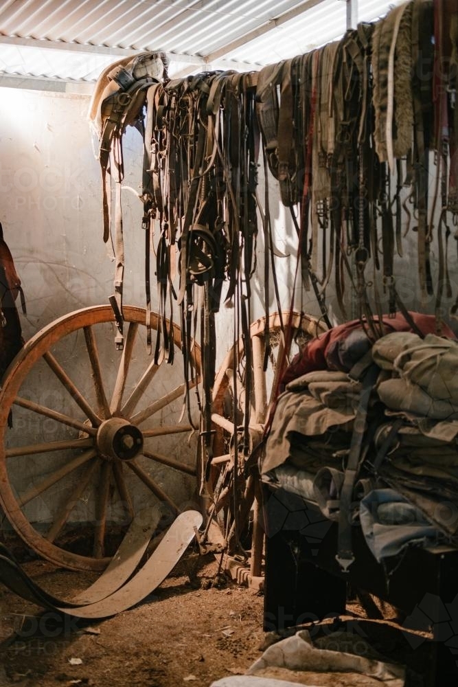 Bridles, Straps and a Wagon Wheel in a Shed - Australian Stock Image