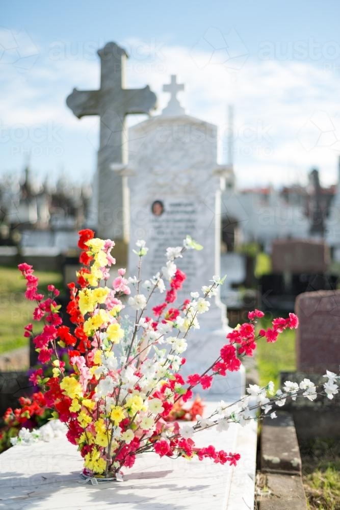 Bright coloured flowers with graves in background - Australian Stock Image