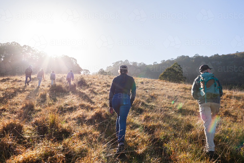 Bright morning sunlight streaming over family of teen and adult children with dad on bushwalk - Australian Stock Image