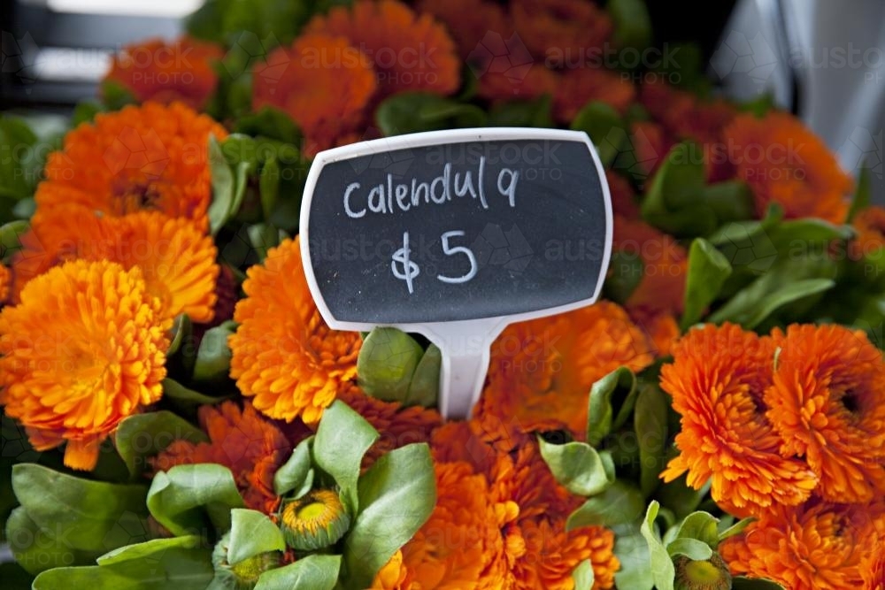 Bright orange Calendula flowers for sale - Australian Stock Image
