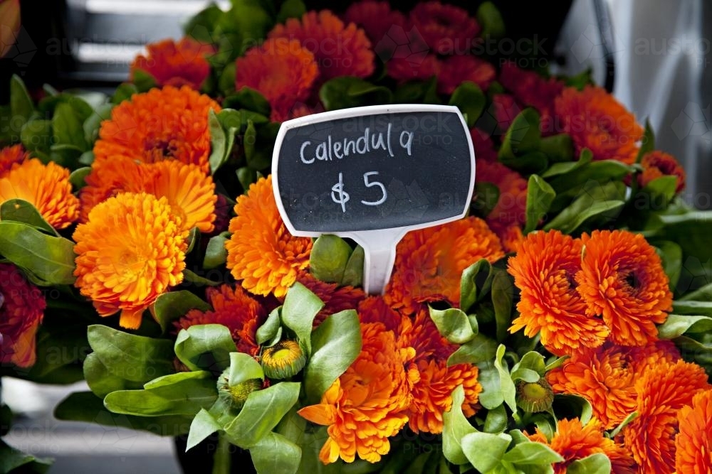 bright orange calendula flowers for sale - Australian Stock Image