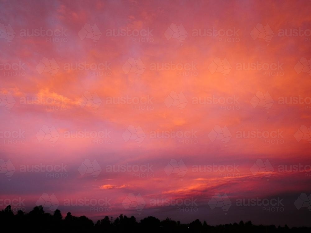 Bright pink and orange sunset sky with trees silhouette - Australian Stock Image