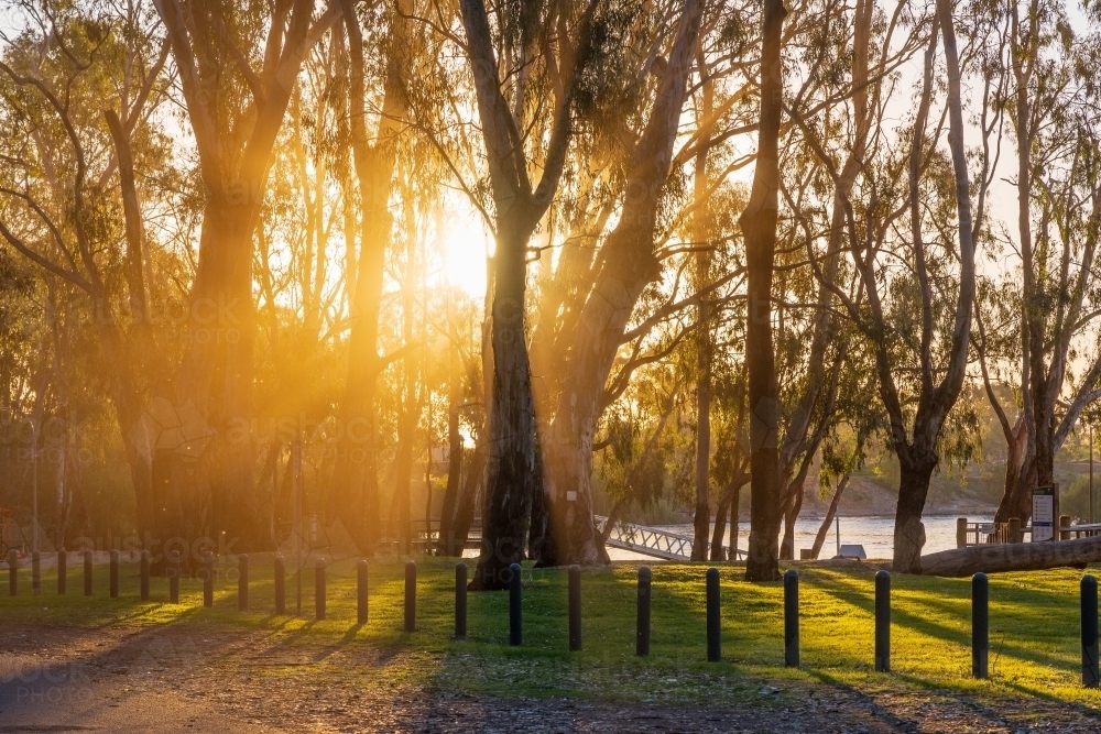 Bright sunshine breaking through gum trees along the side of a river - Australian Stock Image