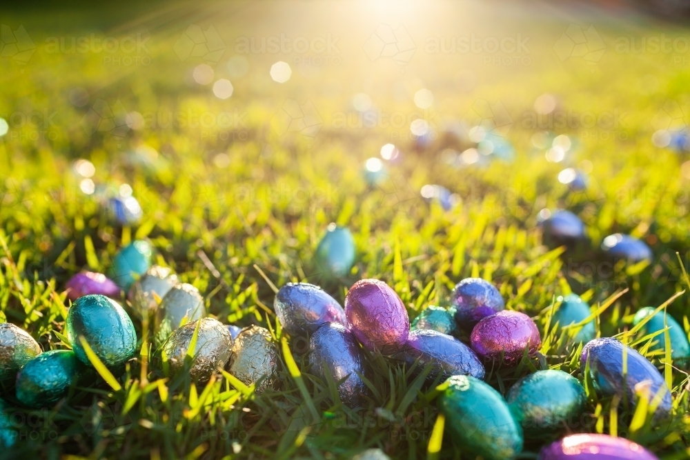 Brightly coloured foil wrapped Easter eggs scattered on grass in light - Australian Stock Image