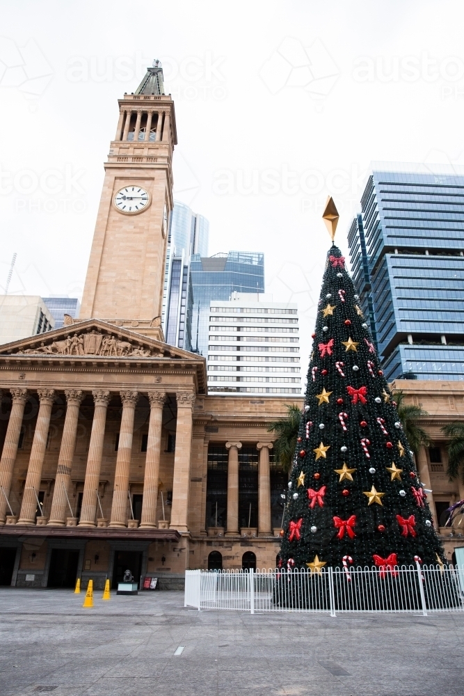 Brisbane city and city hall Christmas tree - Australian Stock Image