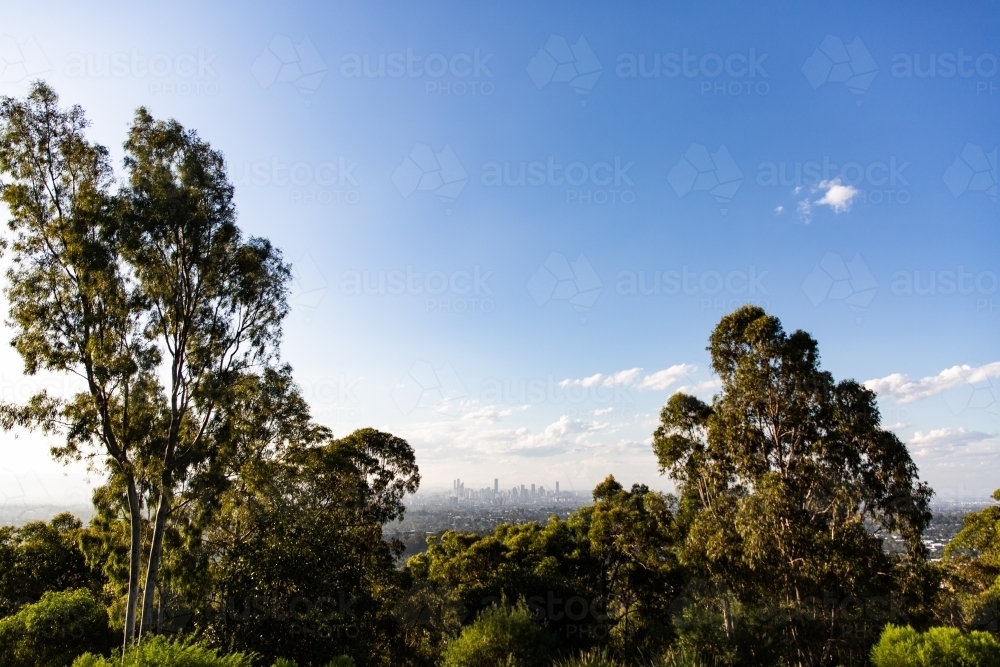Brisbane City and Gum Trees - Australian Stock Image