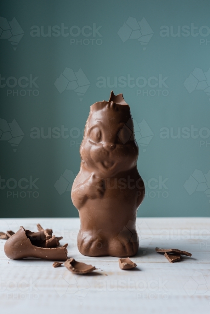 broken ears on a chocolate easter bunny - Australian Stock Image