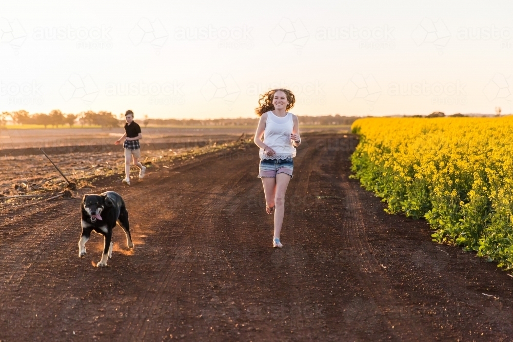 Brother and sister and kelpie dog running next to canola field on dirt road having fun - Australian Stock Image