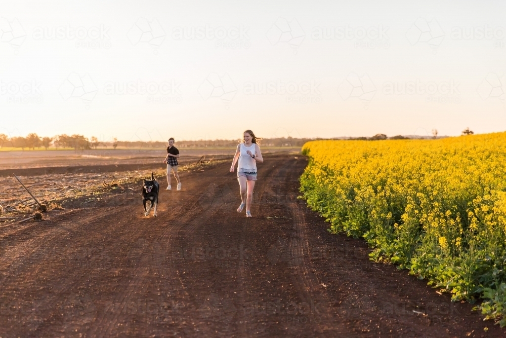Brother and sister running with kelpie dog down dirt road on farm next to canola paddock - Australian Stock Image