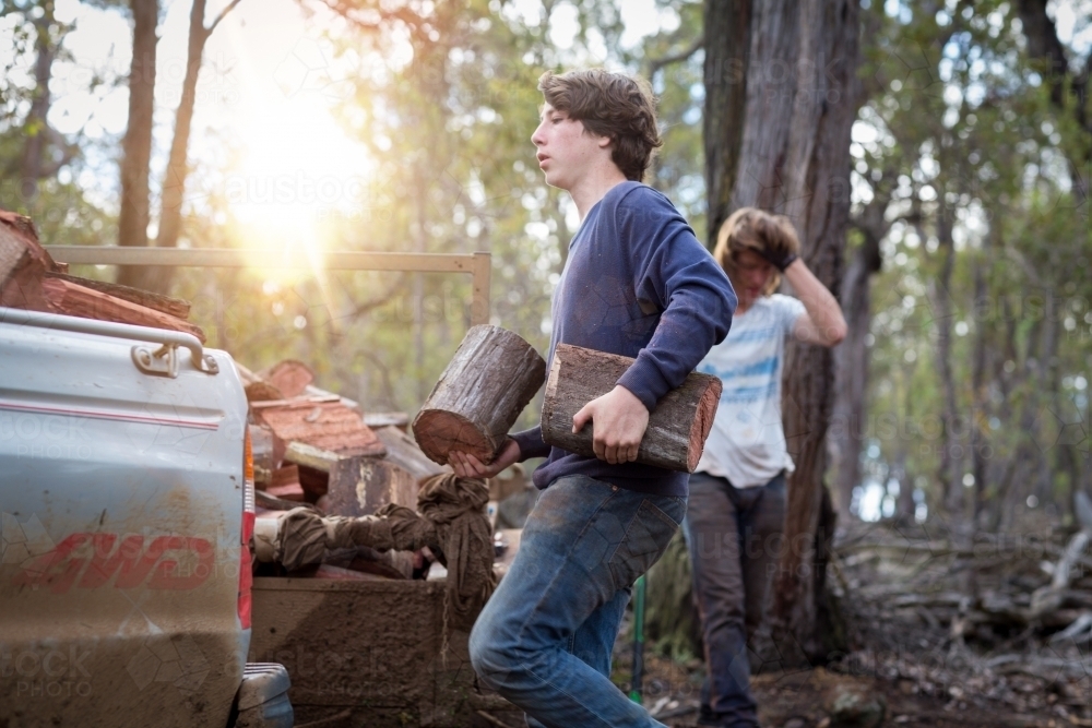 Brothers loading firweood onto trailer - Australian Stock Image