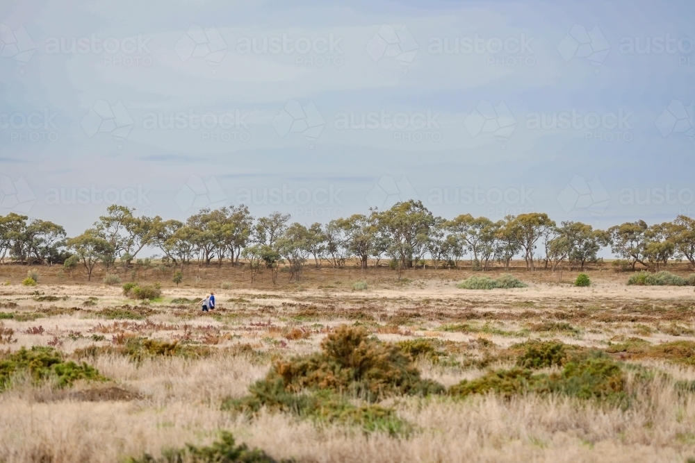 Desolate Australian Landscape Image of Brothers walking together exploring desolate dry lake. Family ...