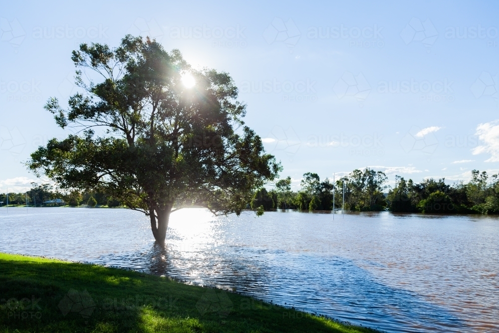 Brown floodwaters covering park playing field after river broke banks - Australian Stock Image