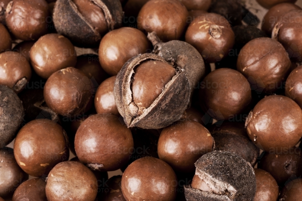 Brown macadamia nuts - Australian Stock Image