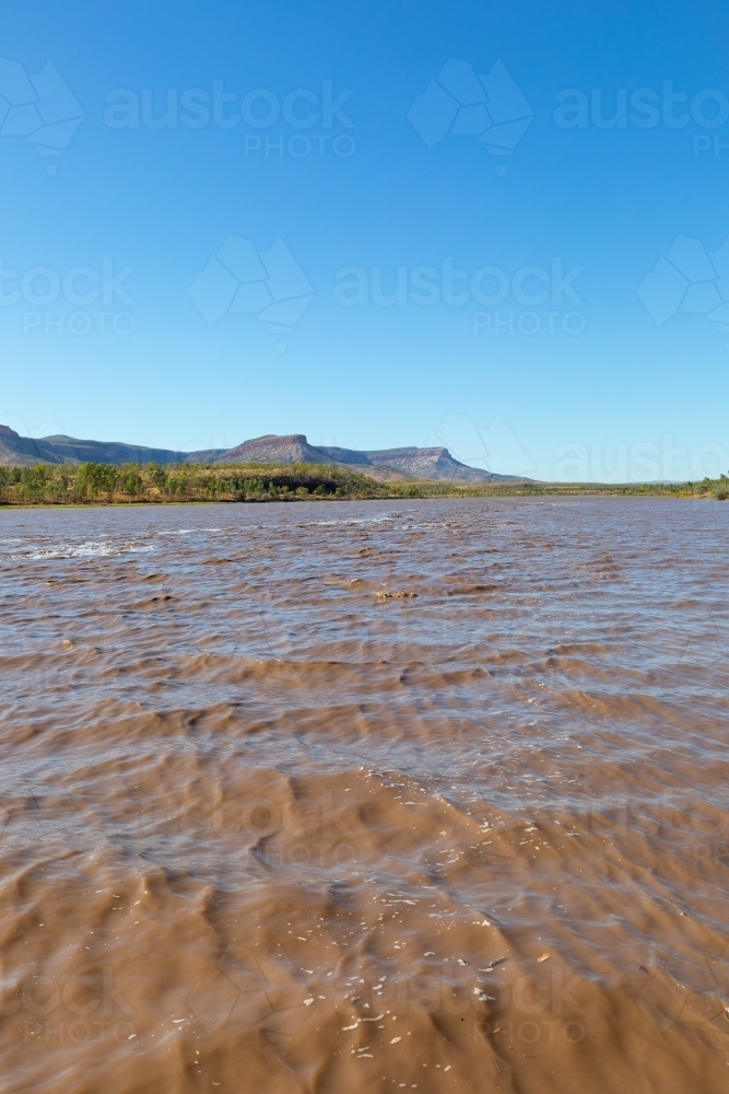brown muddy tidal water in pentecost river - Australian Stock Image