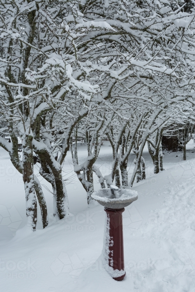 Bubbler and trees covered in snow - Australian Stock Image
