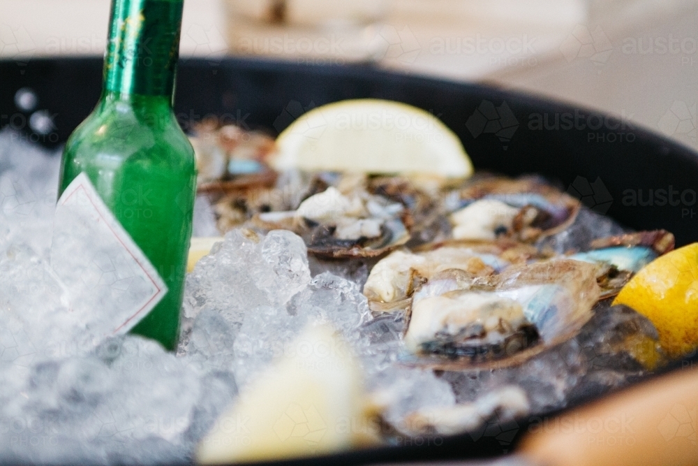 Bucket of  oysters and beer on ice - Australian Stock Image