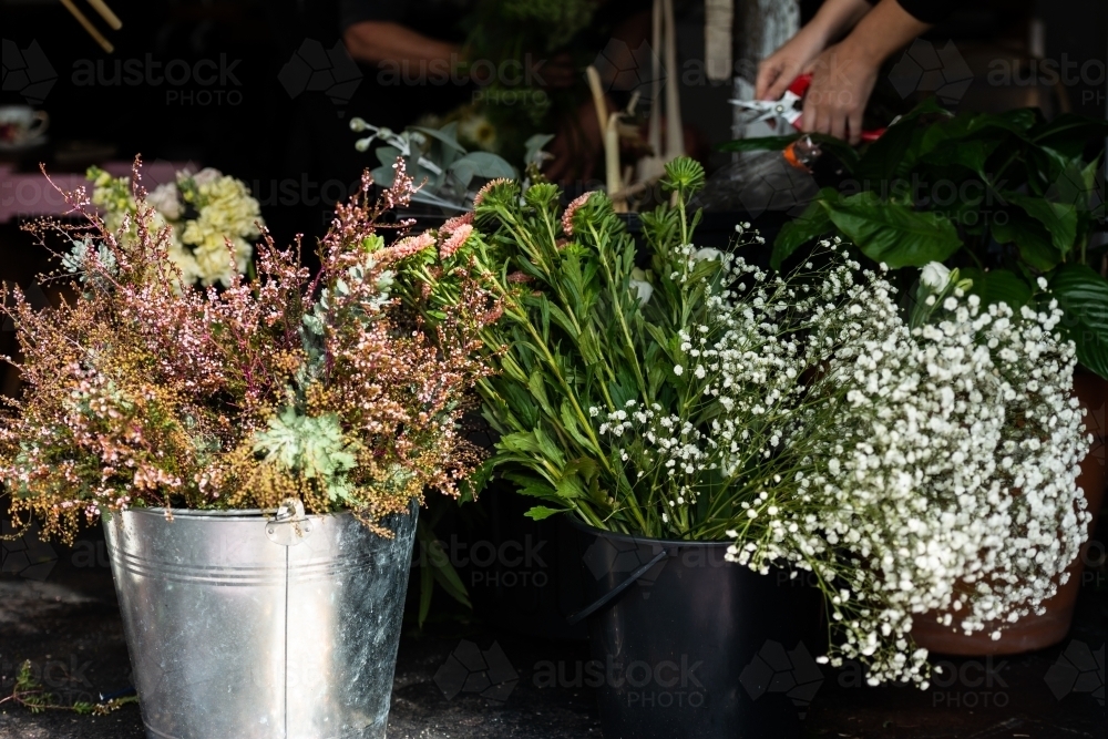 Buckets of flowers used for bouquets - Australian Stock Image
