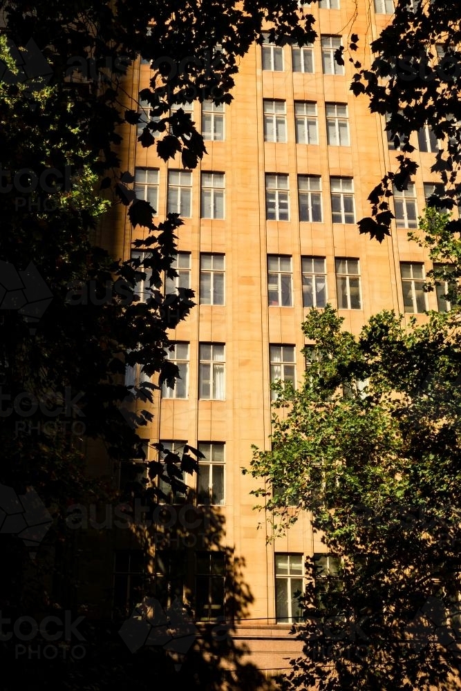 Building Framed by Plane Trees in Collins St Melbourne - Australian Stock Image