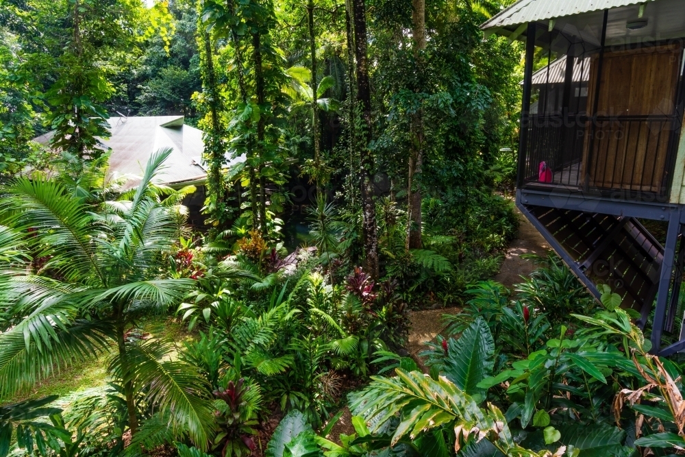 Buildings in the Daintree Rainforest - Australian Stock Image