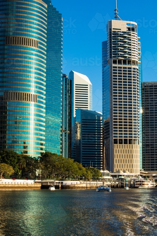 Buildings of Brisbane city along Brisbane River adjacent to the City Botanic Gardens - Australian Stock Image