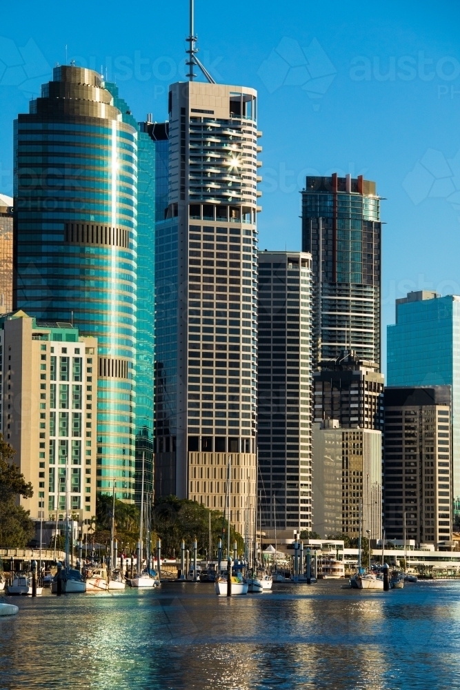 Buildings of Brisbane city along the Brisbane River adjacent to the City Botanic Gardens - Australian Stock Image