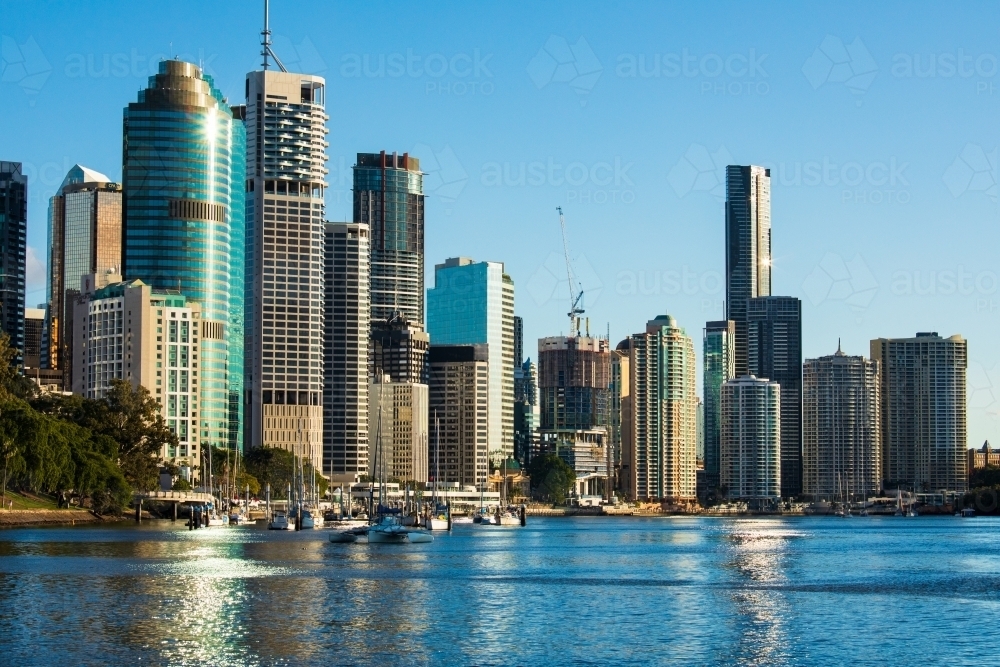 Buildings of Brisbane city along the Brisbane River adjacent to the City Botanic Gardens - Australian Stock Image