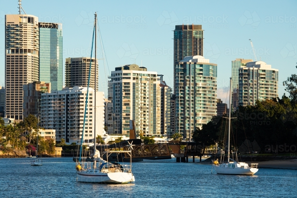 Buildings of Brisbane city along the Brisbane River adjacent to the City Botanic Gardens - Australian Stock Image